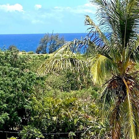 Le Sud Alize Your Host Helper Saint-Joseph Luaran gambar